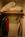 Best Western Terrace Inn::ZoomAndGo