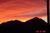 Chaparral Suites Scottsdale::VirtualTourist