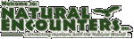 Steve Martin's Natural Encounters, Inc.