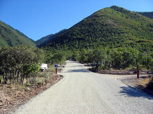 Web-camp