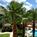 Courtyard by Marriott Phoenix Chandler::Travelocity.com