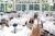 Crescent Hotel::Hotels.com