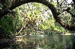 Blue Spring State Park
