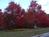 COZY TREETOP COTTAGE LOCATED 5 MILES FROM CASHIERS & HIGHLANDS! from PetFriendly.com