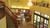 Holiday Inn Express Suites Fenton::Priceline.com