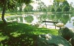 Mile Square Park::Allison_branen