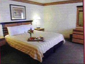 Web-1537041-best_western_river_north_hotel-chicago