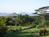 Dilly Dally House::TripAdvisor
