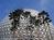 EPCOT::ThemeParksOnline