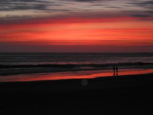 Web-herring_cove