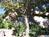 Hacienda Rancho de Chimayo::TripAdvisor