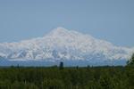 ALASKAN TOUR GUIDES, INC.