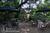 Glass Mountain Inn::BedAndBreakfast.com