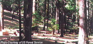 Web-lowerrushcreek-picture