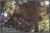 A Teton Tree House::BedAndBreakfast.com