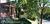 Stebbins-Swayne House Bed and Breakfast::BedAndBreakfast.com