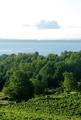 Chateau Chantal::TripAdvisor