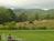Meadowlark Inn::BedAndBreakfast.com