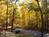Inn the Woods::BedAndBreakfast.com