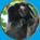 Palm Beach Zoo at Dreher Park::Palm beach zoo at dreher park