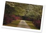 BROOKGREEN GARDENS