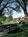 CordeValle A Rosewood Resort::Priceline.com
