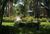 Holiday Park Hotel & Suites::Orbitz