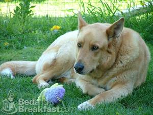 Web-lowell-vt-inn-therendezvousbedbreakfast