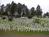 Lafayette Hillside Memorial::Farm3.static.flickr.com