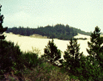 Tn-dune