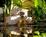 Lemon Tree Hotel & Kitchen Suites::Expedia