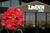 Livinn Suites Sharonville::Yahoo! Travel