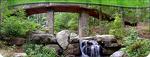 Garvan Woodland Gardens