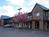 Tulip Inn::Priceline.com