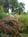 Stratton Inn::BedAndBreakfast.com