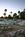 Renaissance Scottsdale Resort::ZoomAndGo
