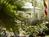 Tybee Island Inn Bed and Breakfast::BedAndBreakfast.com