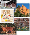 Tn-collage1