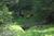 Allens Alaska Adventures::BedAndBreakfast.com