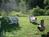 The Wilder Farm Inn Bb::BedAndBreakfast.com