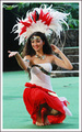 Polynesian Cultural Center