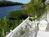 Siesta Key Bungalows::BedAndBreakfast.com
