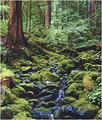 Tn-home_creek_image