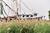 Lighthouse Inn::Orbitz