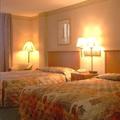 Luxury Inn & Suites