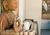 Sea Mountain Inn::BedAndBreakfast.com