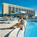 Hilton Clearwater Beach Resort::Expedia