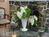 White Lilac Inn::BedAndBreakfast.com