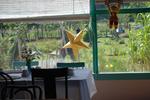 Moby Dick Hotel and Oyster Farm