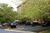 Comfort Inn at Shady Grove::Yahoo! Travel
